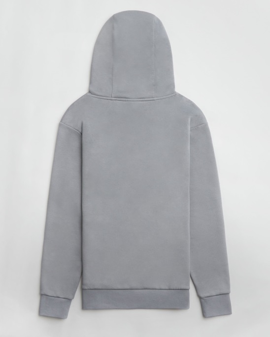 Og Core Trainingsanzug Hoodrich Sleet/fiesta